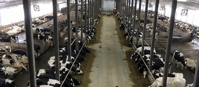 Ferme de grandes dimensions